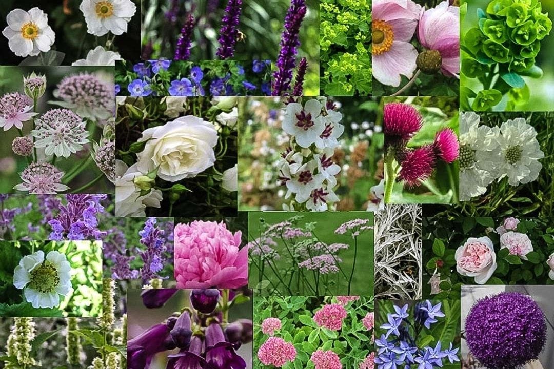 moodboard garden design devizes