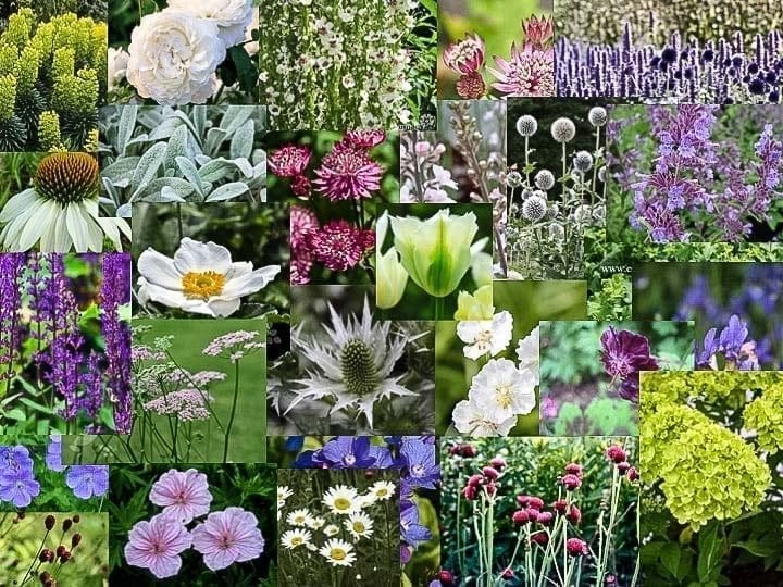 garden design mood board